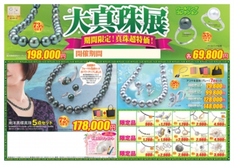 平成27年版 / 2015 Edition 表面