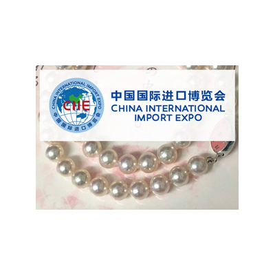 2th_china_int_import_expo_v2.png