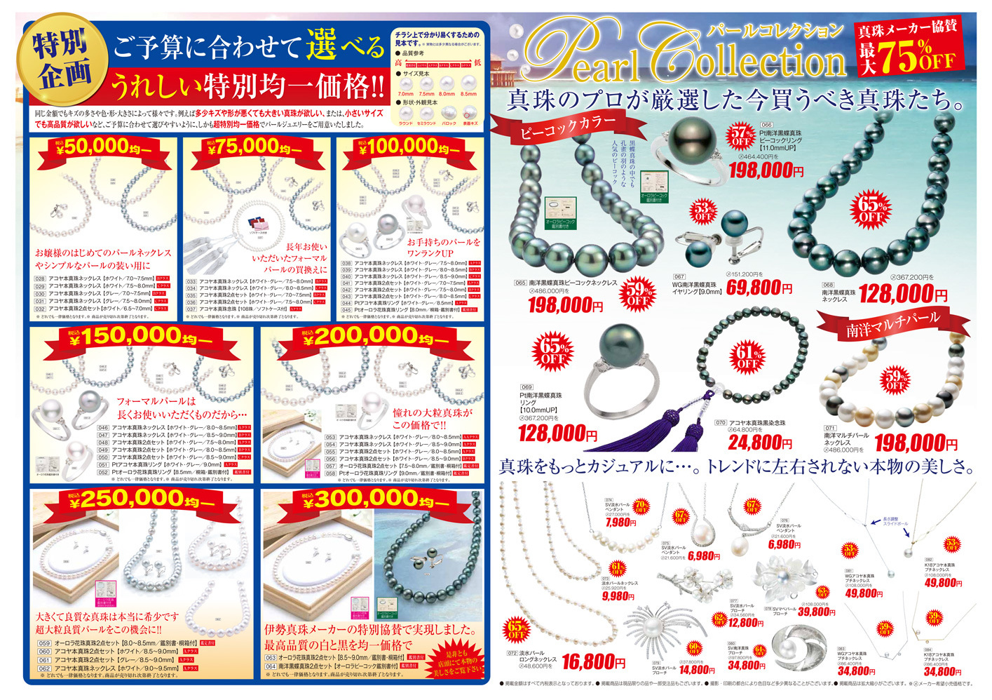 平成28年版 ／ 2016 Edition B 裏面
